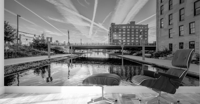 Gene Leahy Mall Lake Morning Grayscale Wall Murals