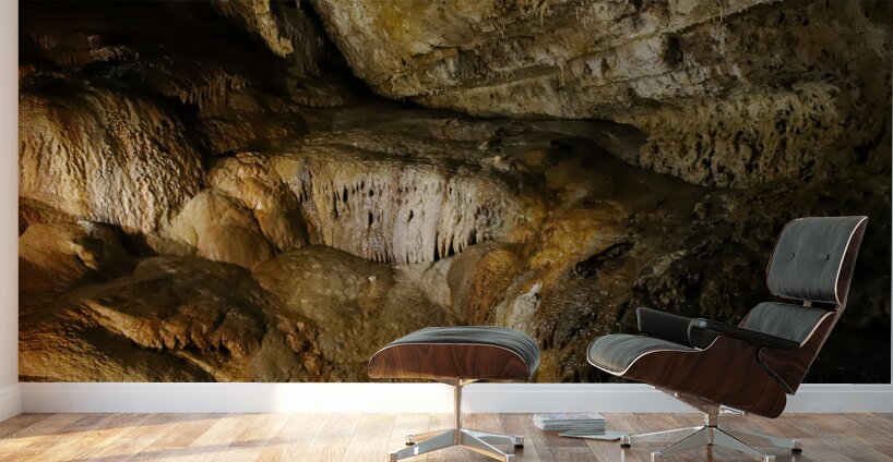 Caves in SW Wisconsin  Wall Murals