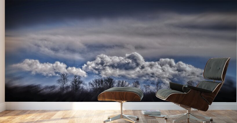 FS240302 CLOUDSCAPE Wall Murals