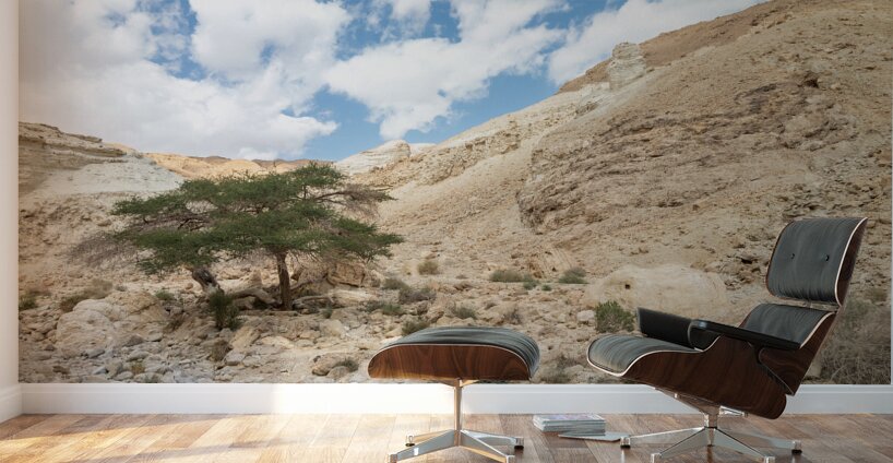 IMG 8189 Wall Murals