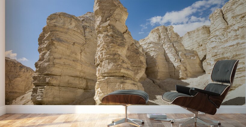 IMG 8112 Wall Murals