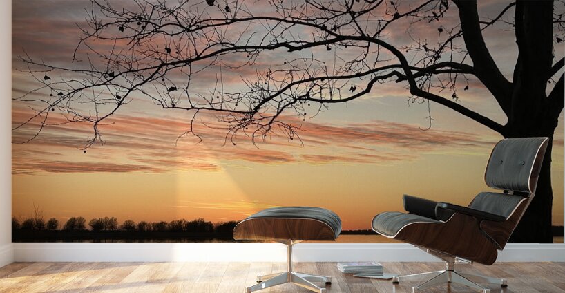 IMG 5757 Wall Murals