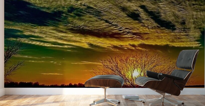 IMG 5992 Wall Murals