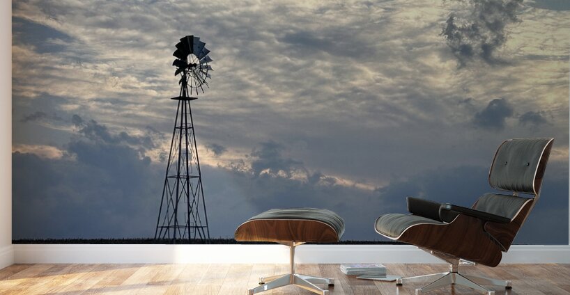 IMG 6235 Wall Murals