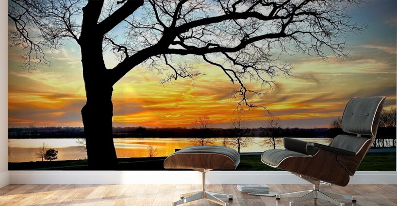 IMG 6009 Wall Murals