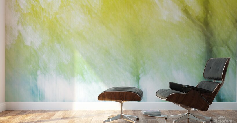 Park Daydream Wall Murals