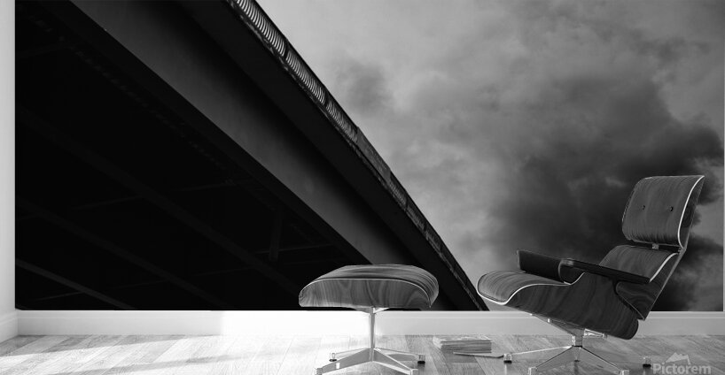 Under the Bridge Wall Murals