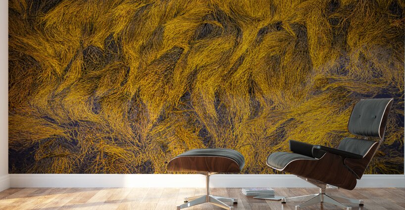 Blue Rocks Kelp Wall Murals