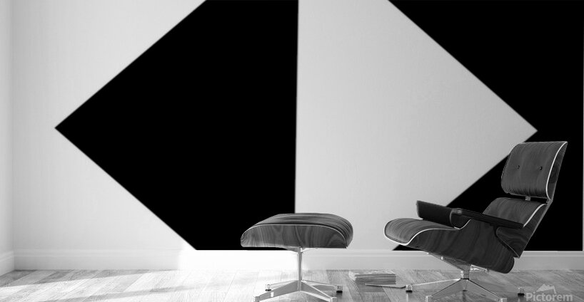 Shadowed contrast Wall Murals