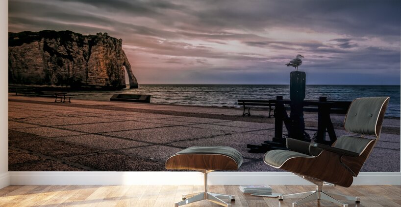 Seagull looking his Normandy Cliffs at Sunset Wall Murals