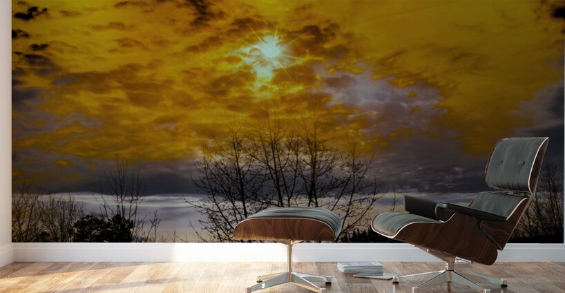 Winter Weather Fire in the Sky Wall Murals
