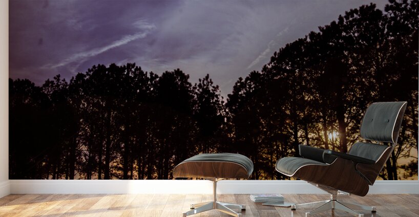 Peeking Through Trees Wall Murals