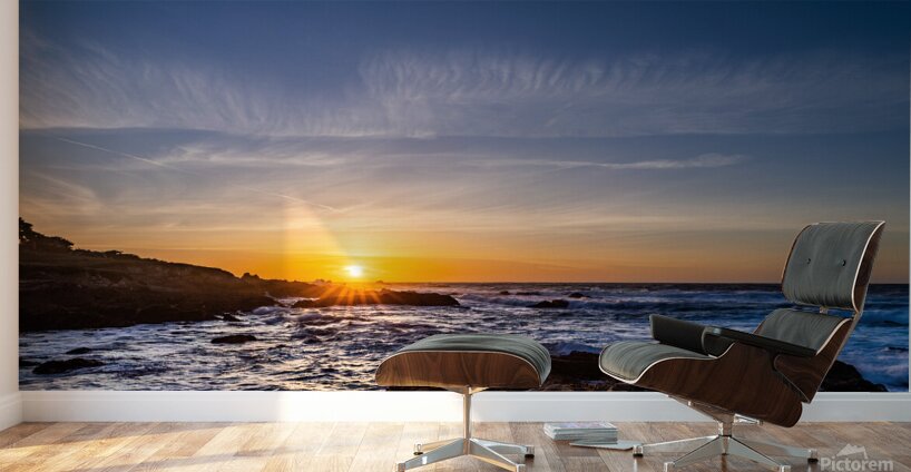 Fan Shell Beach 01 Wall Murals