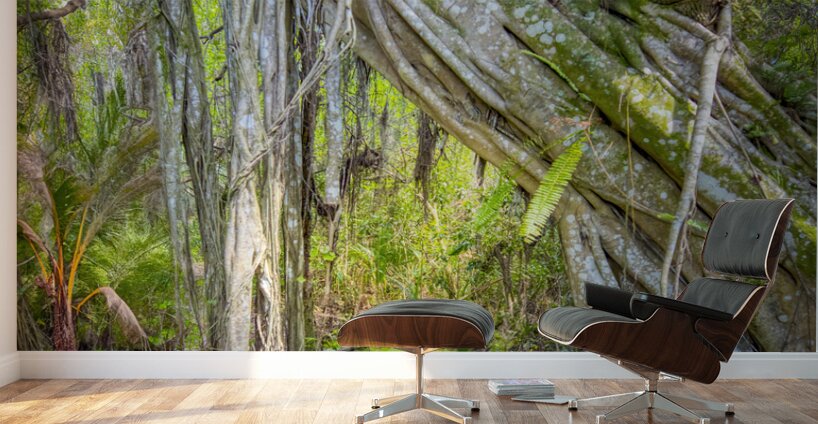 A Day at Banyan Creek Wall Murals