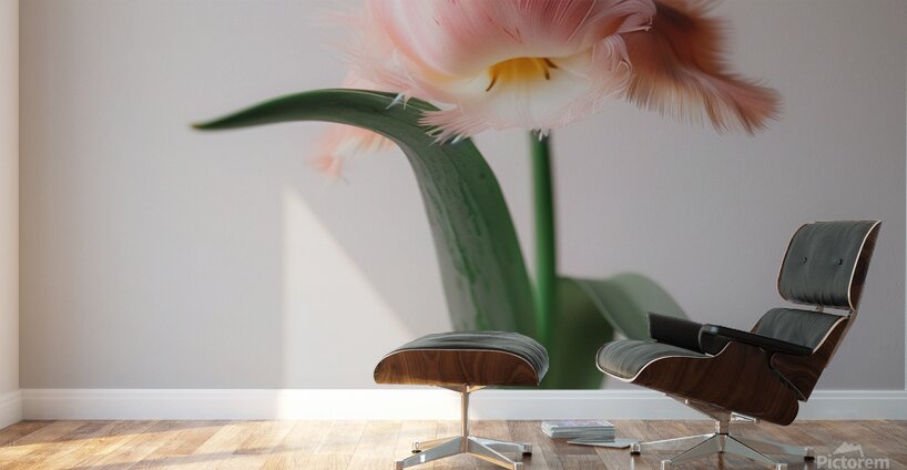 DOWNLOAD   Furry Pink 24x30 4 5ratio Wall Murals