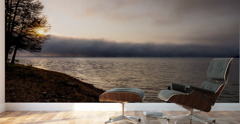 Tree Stump Snap By The Shoreline Wall Murals