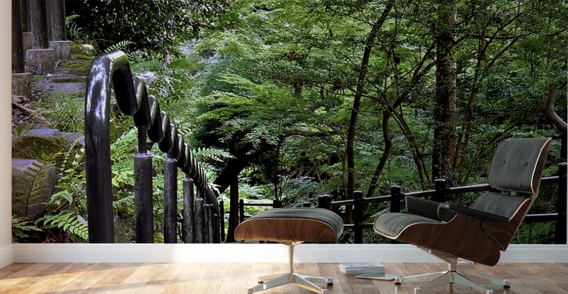 Japan-TA - Stairs to the Temple Wall Murals