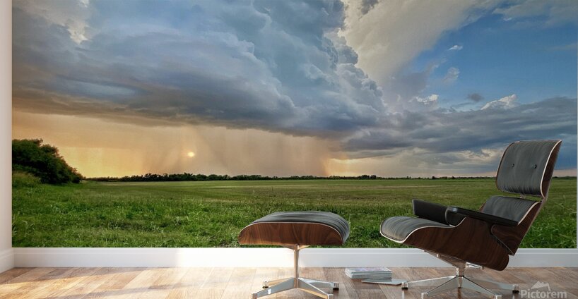 Rolling in Wall Murals