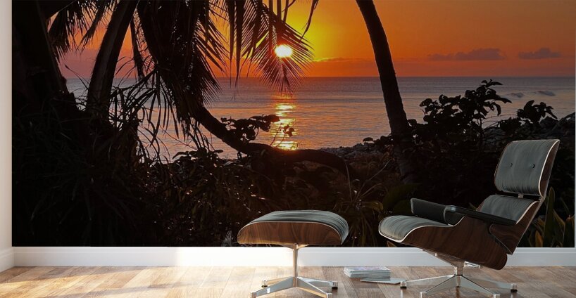 tropical sunset  Wall Murals