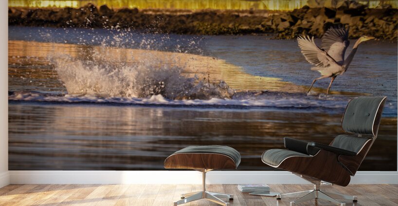 Surprise Porpoise Heron Attack Wall Murals