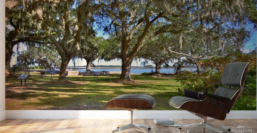 The Oaks At Fort Prince Frederick Port Royal South Carolina  Wall Murals