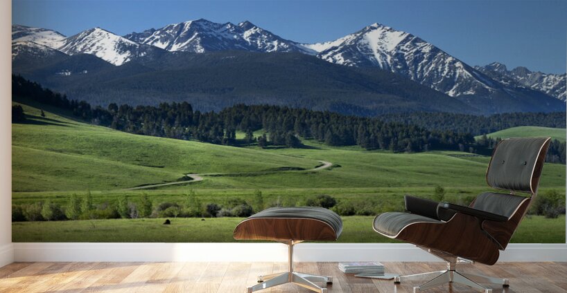 flying d spring grazing 90x30 print Wall Murals
