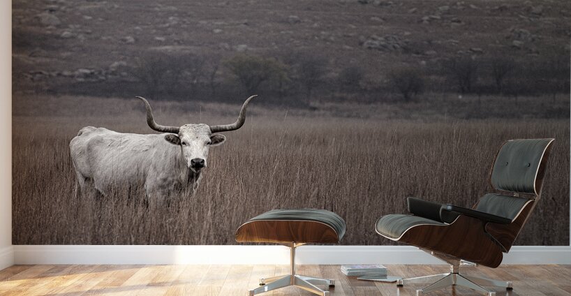 Longhorn Wall Murals
