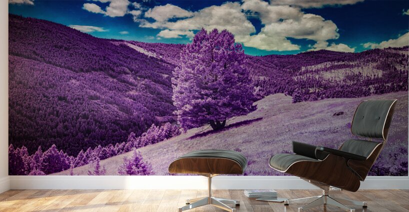 Enchanted Purple Haven: Marysville Montana Wall Murals