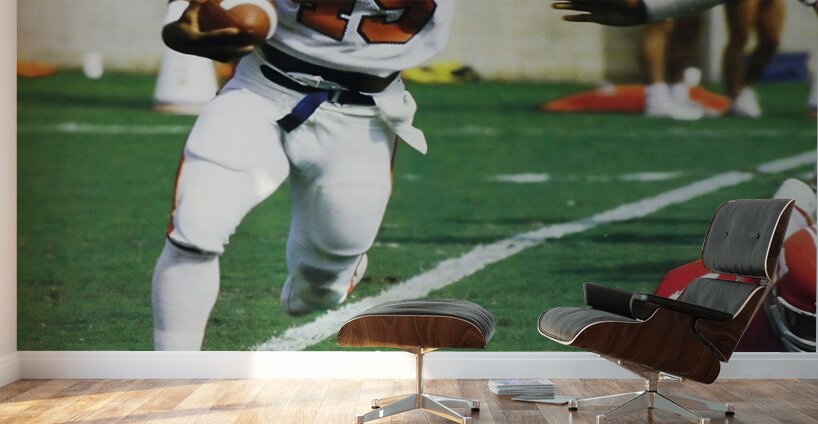 1984 Clemson Tigers Football Art Wall Murals