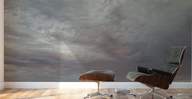 20240322 185401 Wall Murals