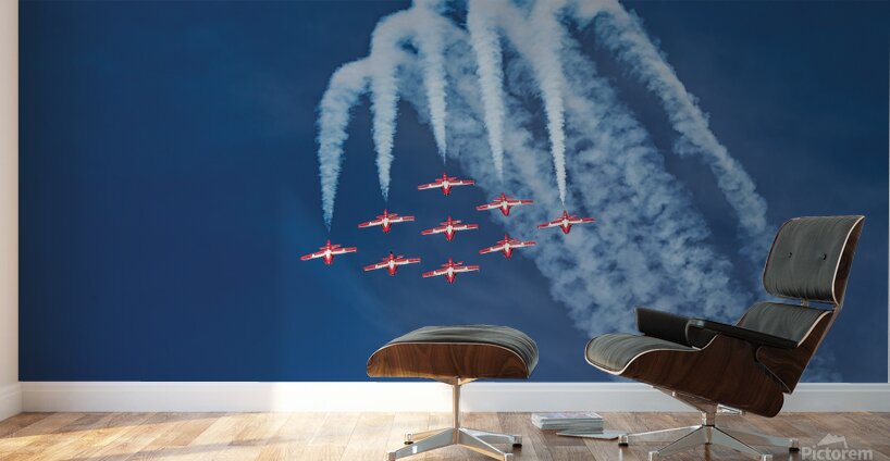 Camaraderie Wall Murals