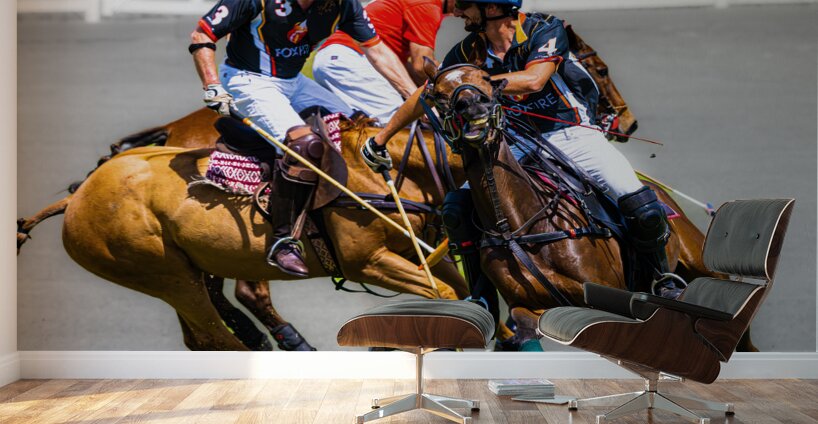 BZ9 2816 Enhanced NR Wall Murals