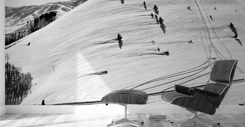 Skiers  Wall Murals