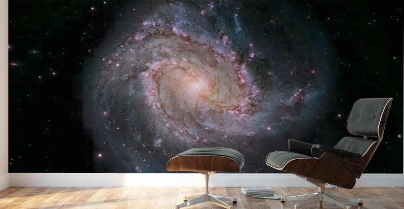 hubble telescope high definition image 01 13 Wall Murals