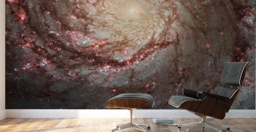 hubble telescope high definition image 01 3 Wall Murals