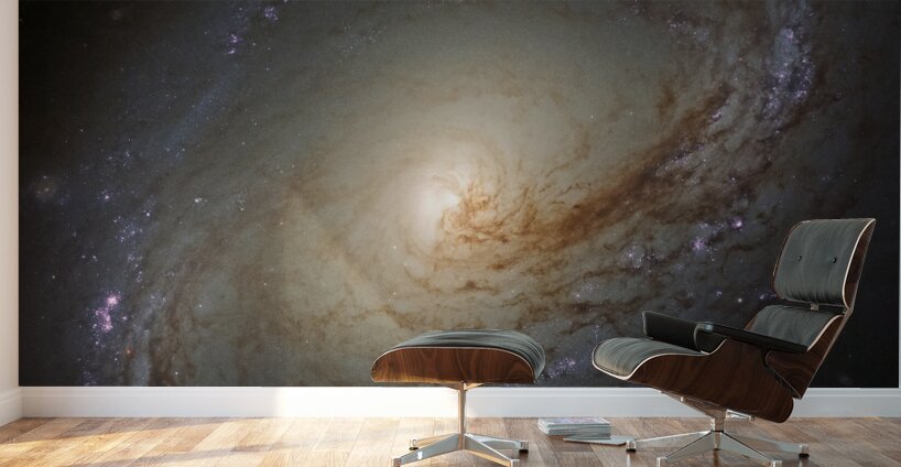 hubble telescope high definition image 01 27 Wall Murals