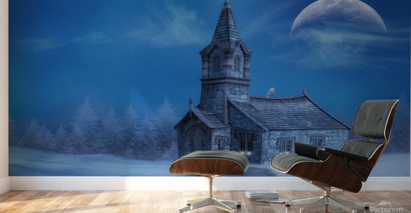 The Church Owl Wall Murals