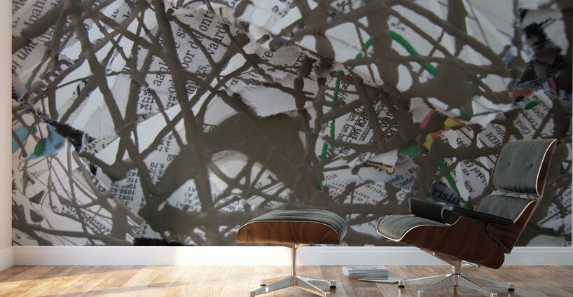 Chronicle Wall Murals