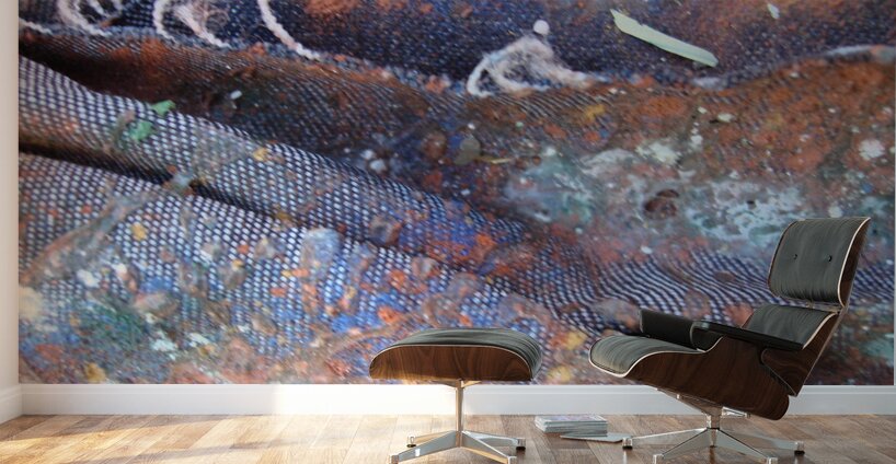 Textures of Time: Decay and Renewal Wall Murals