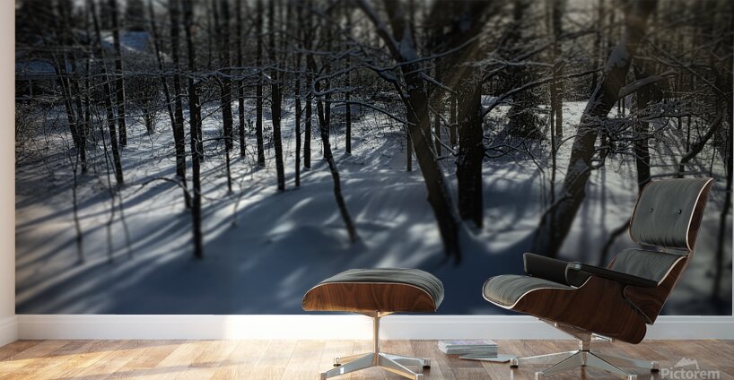 Saint-Anne-des-Lacs Wall Murals