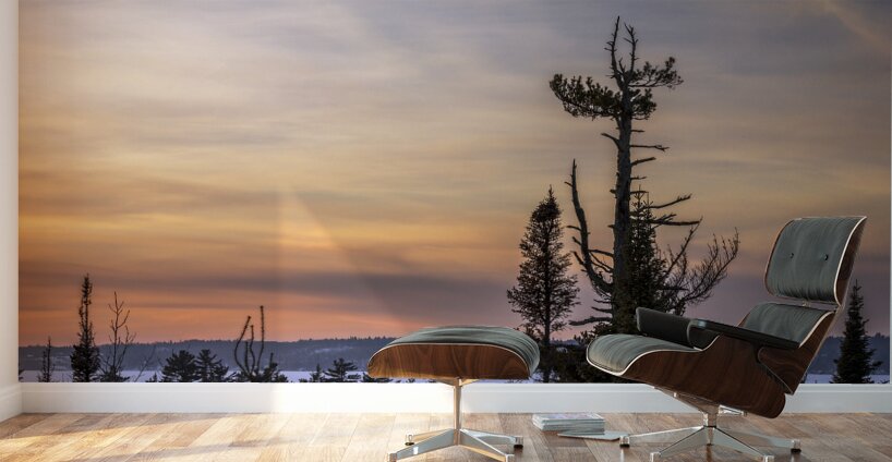 Overlooking Falcon Lake Wall Murals