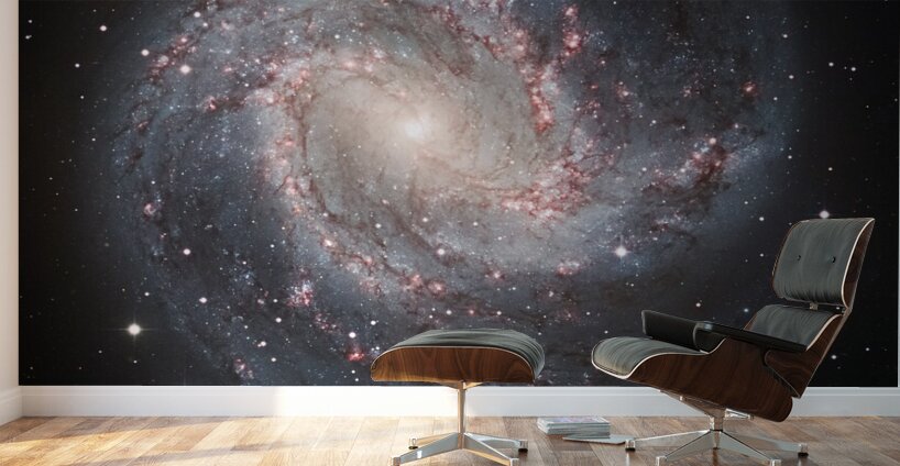 hubble telescope high definition image 03 31 Wall Murals