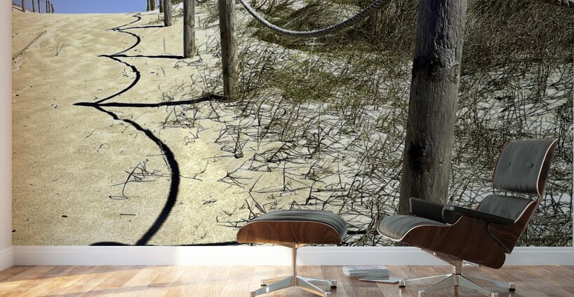 Pathway Across a Dune to the Beach Wall Murals