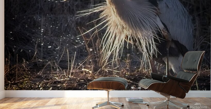 GreatBlueHeron Wall Murals