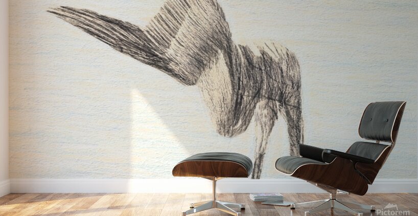 PelicanSketch3 Wall Murals