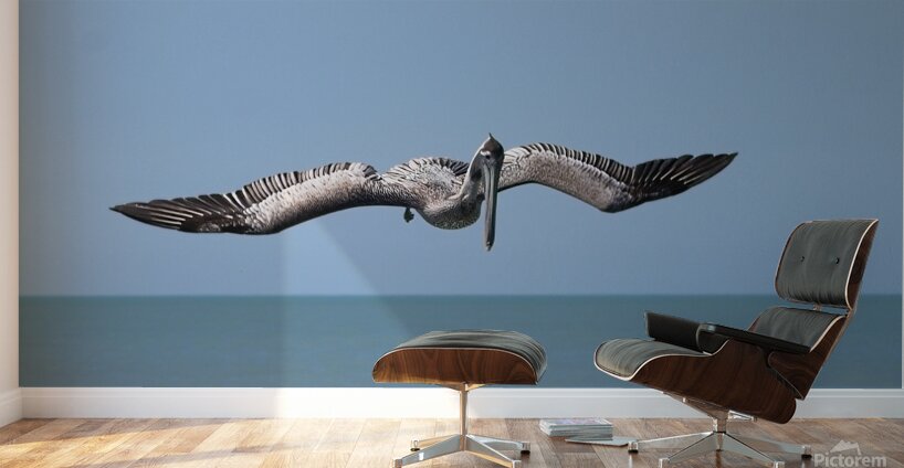 IMG 1679 Wall Murals