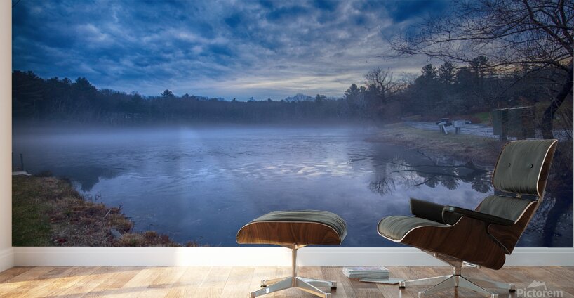 Mysterious Mist on the Pond Wall Murals