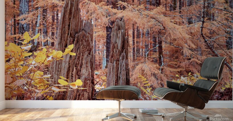 Cycle Of Growth and Decay Wall Murals