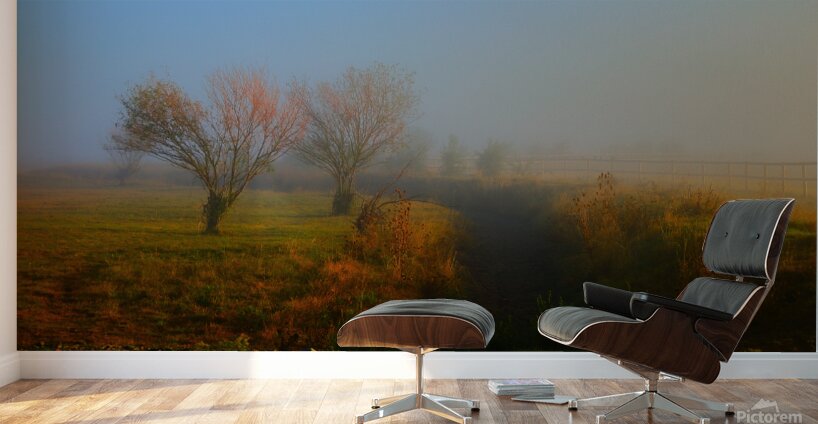 Fin de lEte   Wall Murals