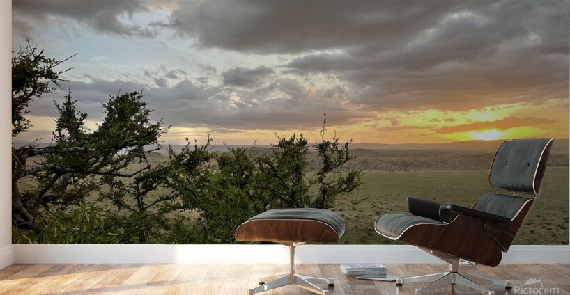 IMG 7229 Wall Murals